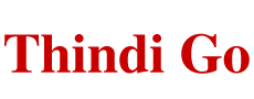 Thindigo logo